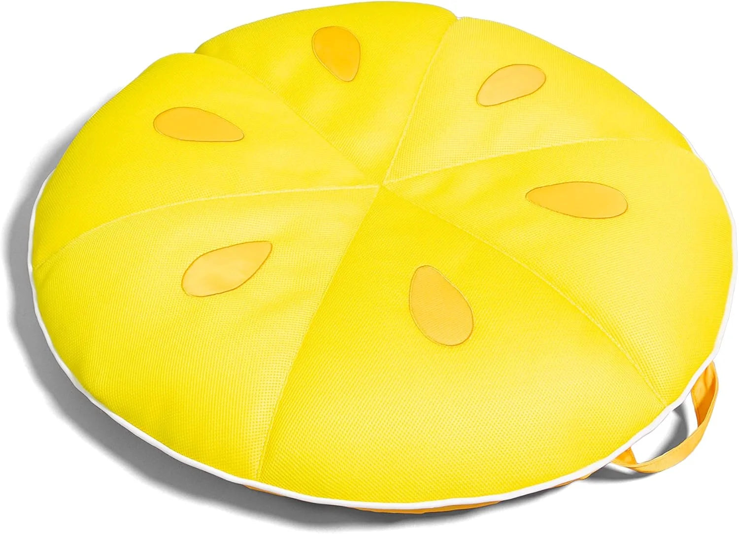Discount Big Joe Fruit Pool Floats, No Inflation Needed, Quick Draining Fabric, Round Loungers and Pool Noodles - Image 3