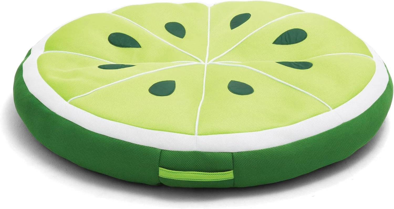 Discount Big Joe Fruit Pool Floats, No Inflation Needed, Quick Draining Fabric, Round Loungers and Pool Noodles